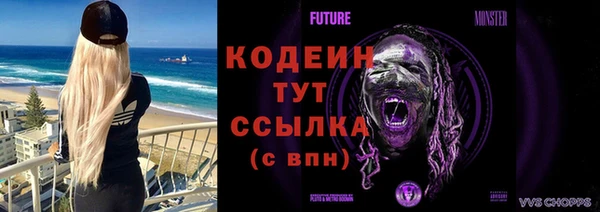 твердый Гусь-Хрустальный